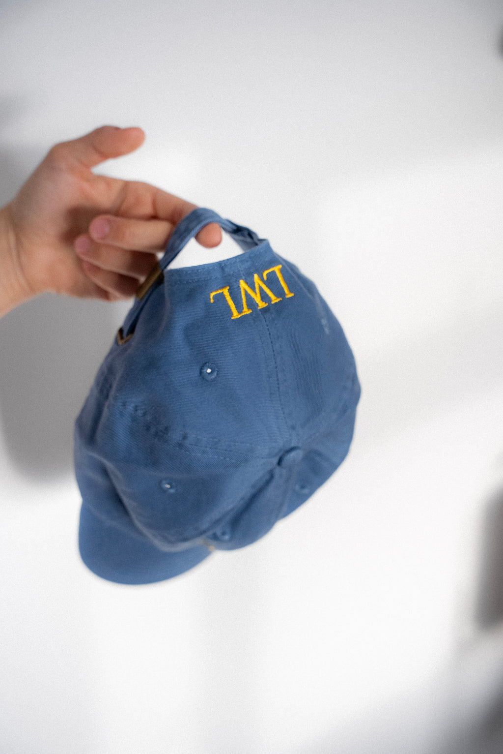 Dad Cap - Blue