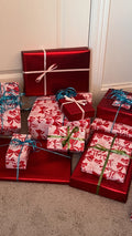 The Ladies Who Lit Book Advent Calendar — 24 Days of Books